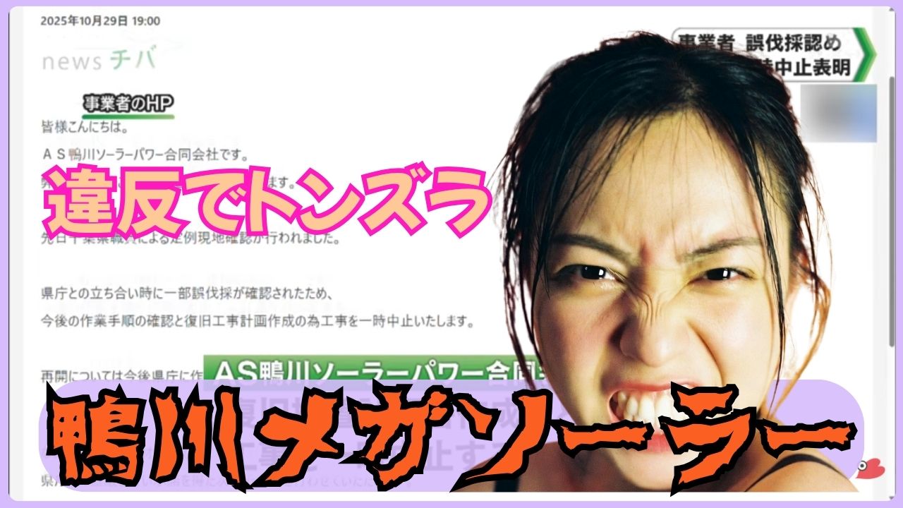 鴨川のメガソーラー「AS鴨川ソーラーパワー合同会社」